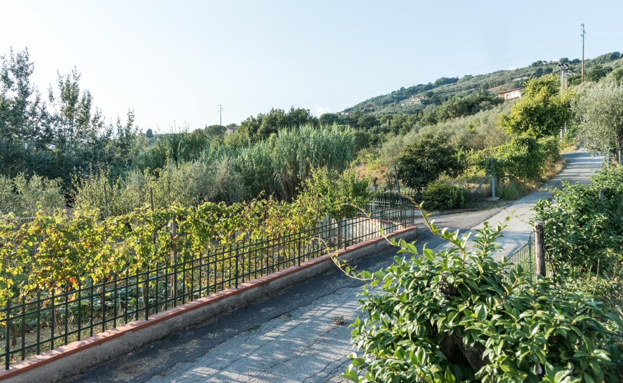 Fuga In Toscana Borgo a Buggiano Exteriör bild